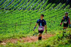 BIB: 
                            <button type="button" onclick="openModal(19163723)" class="btn btn-primary btn-sm float-right btn-popup" data-toggle="modal" data-target=".modal-high-quality">
                        <i class="fas fa-shopping-cart"></i> Add to Cart
                    </button>
                                            <button type="button" onclick="isThisMe(19163723, true)" class="btn btn-success btn-sm float-right btn-popup btn-isme hidden" data-toggle="tooltip" data-placement="bottom" title="นี่คือรูปของคุณใช่ไหม คลิกที่นี่เพื่อเอาเข้าอัลบั้ม">
                        <i class="fas fa-plus"></i> Add to album
                    </button>
                    <button type="button" onclick="isThisMe(19163723, false)" class="btn btn-warning btn-sm float-right btn-popup btn-isnotme hidden">
                        <i class="fas fa-ban"></i> Remove from album
                    </button>